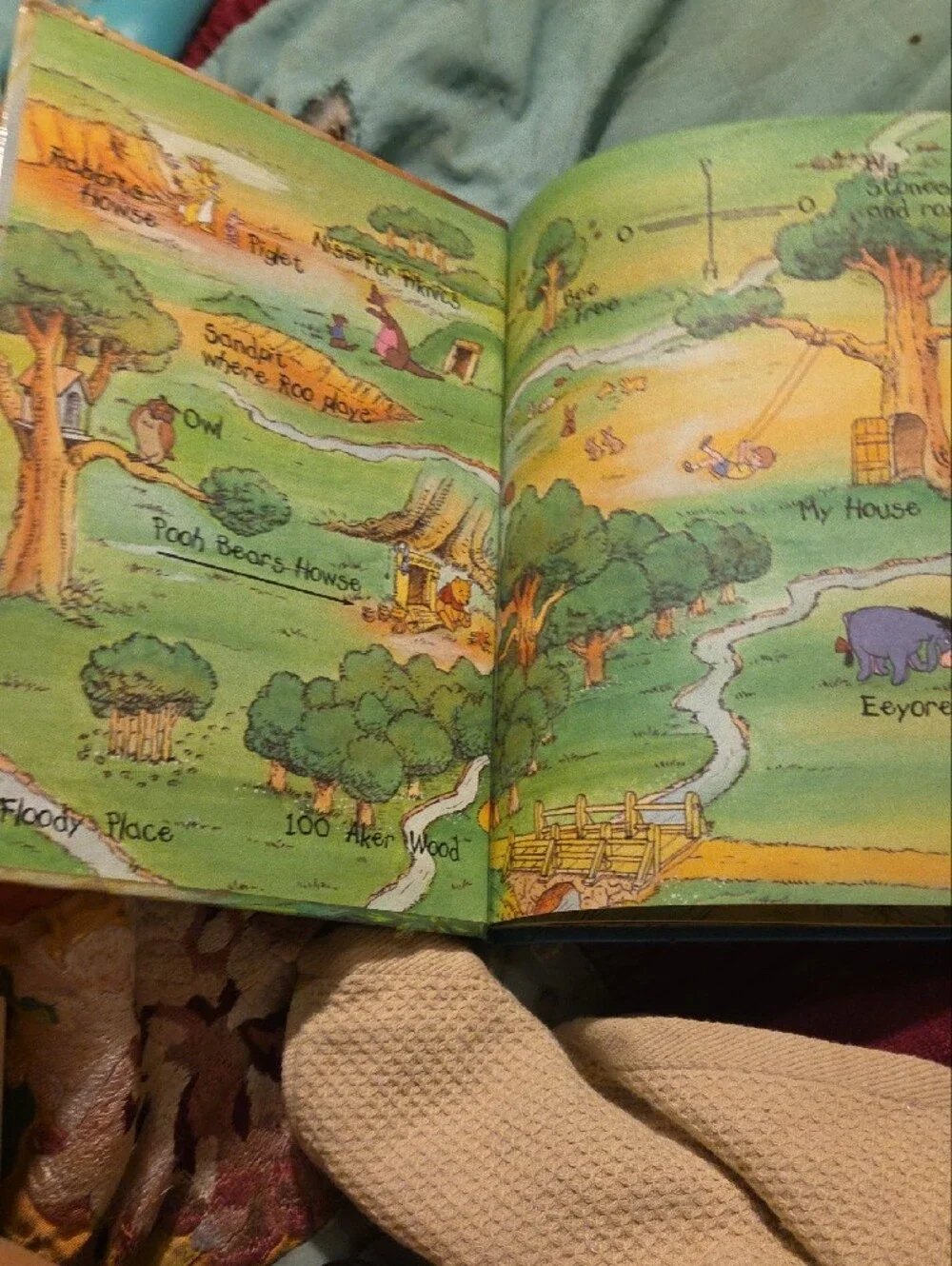 Disney Winnie the Pooh 